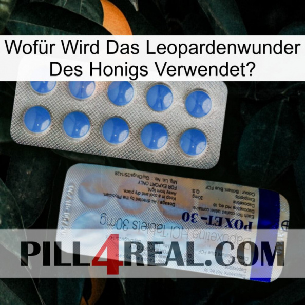 Wofür Wird Das Leopardenwunder Des Honigs Verwendet 39
